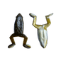 Best Toad Ever
