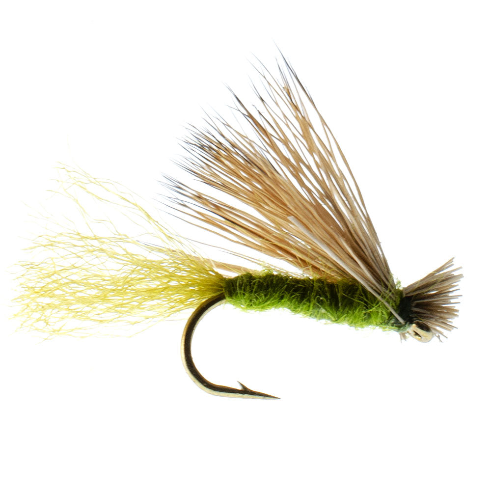 3 Pack Barbless Olive X Caddis Emerging Caddis Adult Fly - Hook Size 16