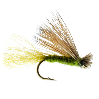 Barbless Olive X Caddis Emerging Caddis Adult Fly - 6 Flies Size 14