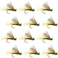 Olive X Caddis Emerging Caddis Adult Trout Dry Fly - 1 Dozen Flies Hook Size 18