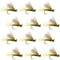 Olive X Caddis Emerging Caddis Adult Trout Dry Fly - 1 Dozen Flies Hook Size 16