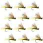 Olive X Caddis Emerging Caddis Adult Trout Dry Fly - 1 Dozen Flies Hook Size 14